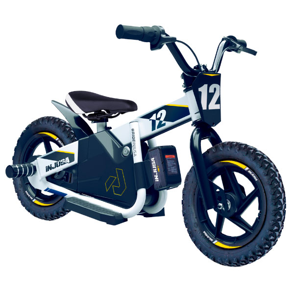 Batería de Litio y Cargador para e-Bike 24V de Injusa ®